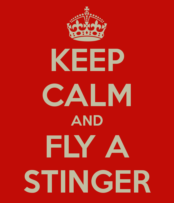 keep-calm-and-fly-a-stinger.png
