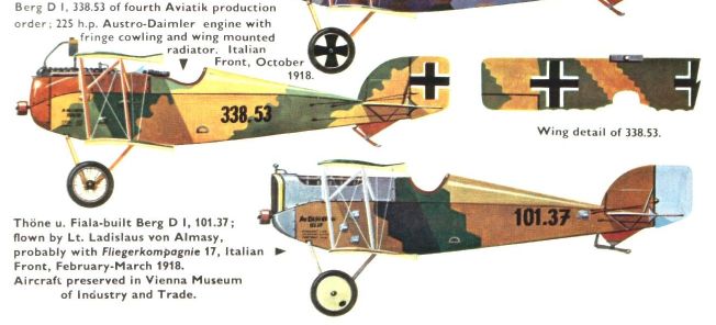 Letala v zeleno-rjavi barvni shemi so se v letu 1918 borila na italijanski fronti.